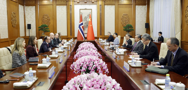 Wang Yi møter Norges utenriksminister Espen Barth Eide - 11